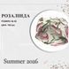 Rozalinda_pov'iazka_div._Miks koloriv_46 фото 2